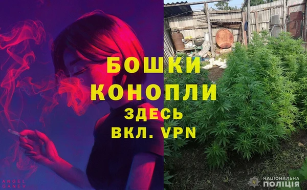 меф Арсеньев