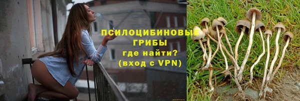 меф Арсеньев