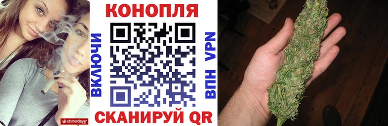Купить  Гусиноозёрск  Конопля план 